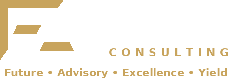 FAEY Consulting